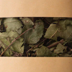 Palo negro