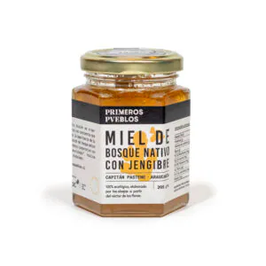Miel con jengibre