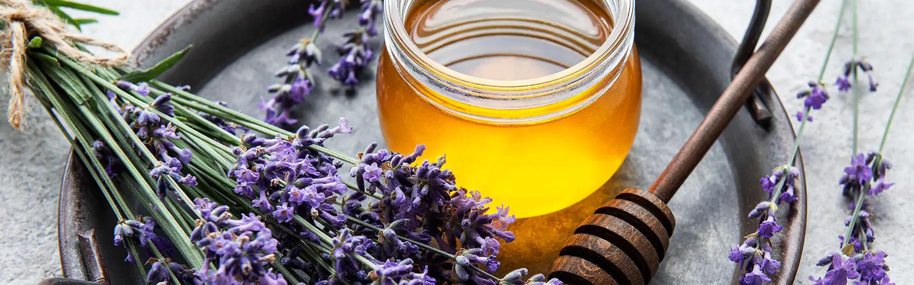 Celebrando el Día Nacional de la Miel: Un tesoro de la naturaleza