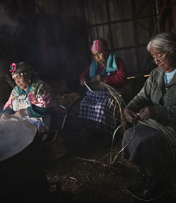 El territorio que habla: Primeros Pueblos en Revista Living