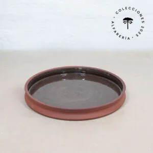Fuente esmaltada 2