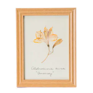 Cuadro flor Amancay mediano 2