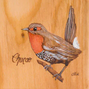 Tabla de picoteo aves chilenas mediana